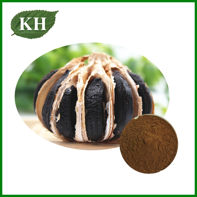 Black Garlic Extract Powder